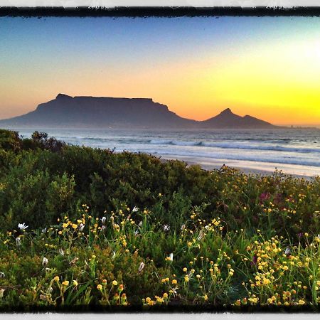 Lazy Days Apartments - Cape Town Cidade Do Cabo Exterior foto